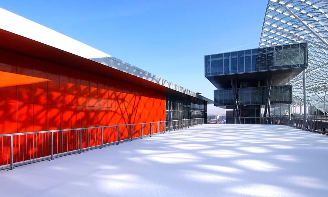 societa-semplice-tutto-cio-che-devi-sapere