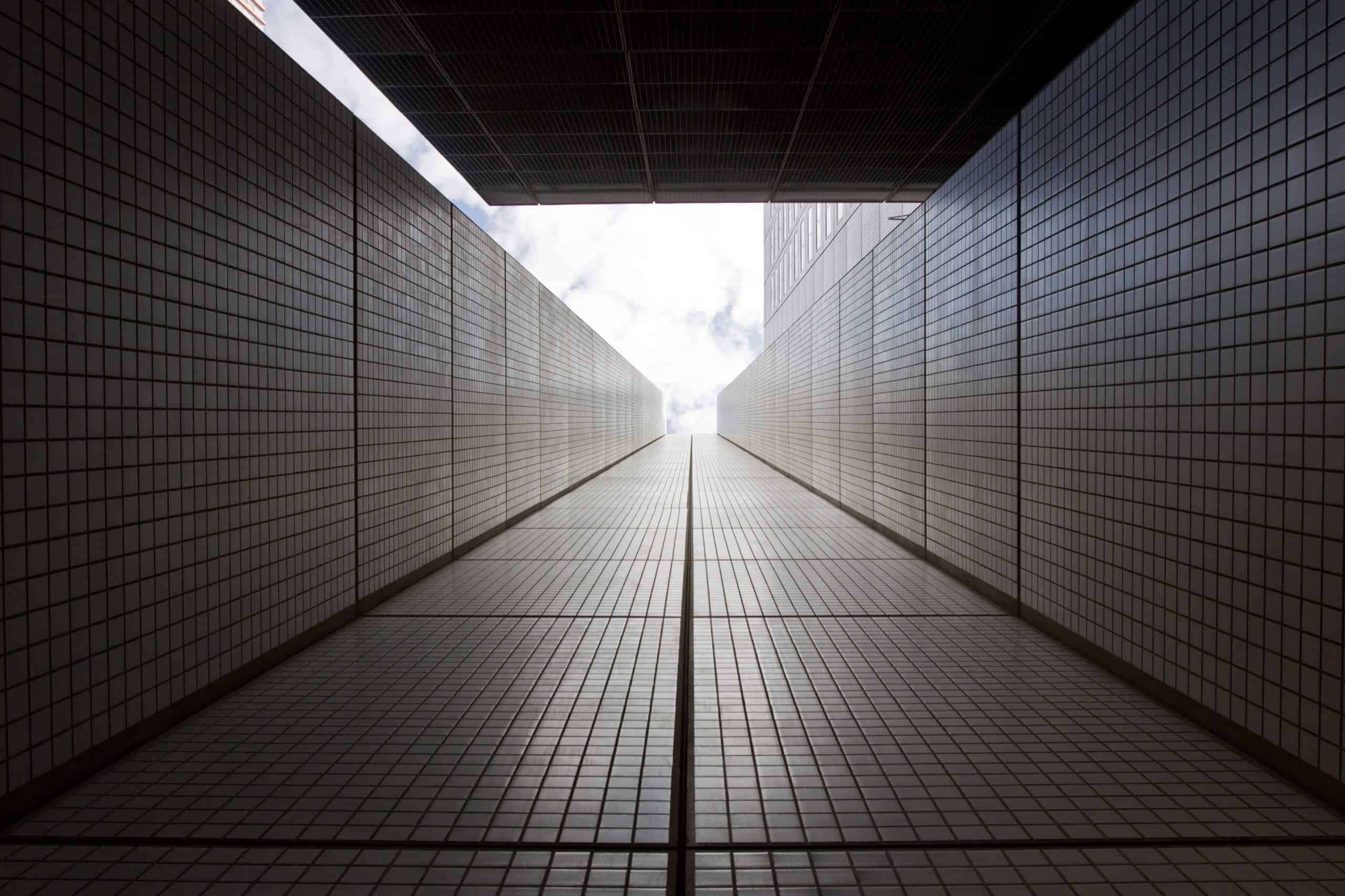 liquidazione della quota del socio