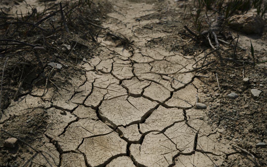 Crisi d’impresa: strategie per decidere prima che sia tardi